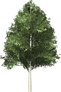 Free Arbor Day Clipart - Gifs