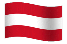 Image result for austria flag gift