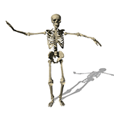 skeleton-dancing-animation.gif