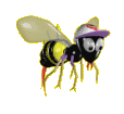 bee-animated-flying.gif